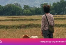 Tôi đóng quán cà phê, đưa chó đi xuyên Việt