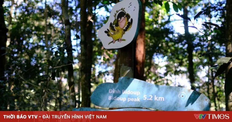 Vietnam BirdRace 2025: Đòn bẩy cho du lịch sinh thái có trách nhiệm tại Việt Nam Vietnam BirdRace 2025: Đòn bẩy cho du lịch sinh thái có trách nhiệm tại Việt Nam