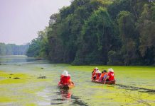 Đồng Tháp Mười – du lịch địa phương ‘lột xác’ để không bị lãng quên