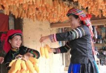 Tinh hoa ẩm thực của đồng bào Mông