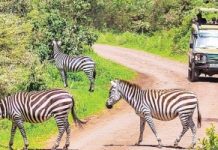 Châu Phi, điểm đến du lịch đang trỗi dậy