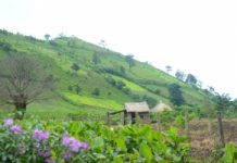 Thăm ngôi làng dưới chân núi Chư Đang Ya