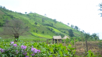 Thăm ngôi làng dưới chân núi Chư Đang Ya