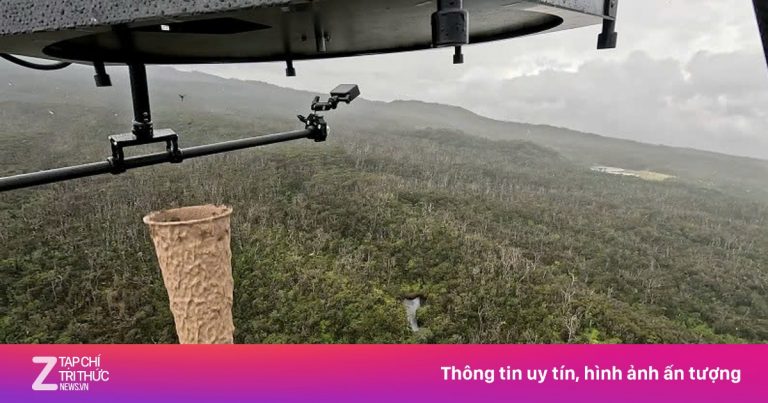 Thả hàng triệu con muỗi xuống Hawaii