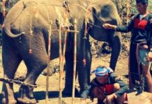 Con voi và những di sản văn hóa của dân tộc M’nông