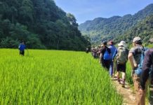 Miền Tây xứ Thanh: Chạm vào hồn đất, say trong hơi thở bản làng