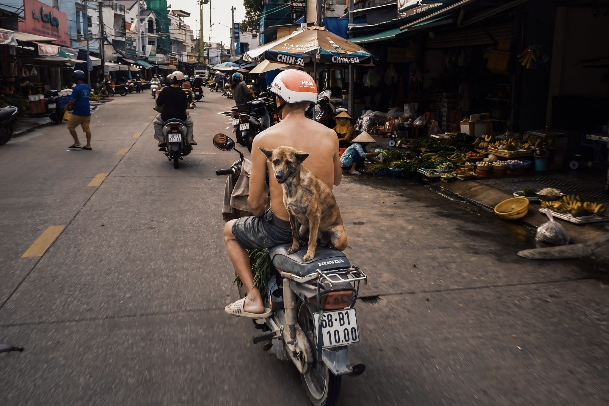 lang chai tran phu anh 2