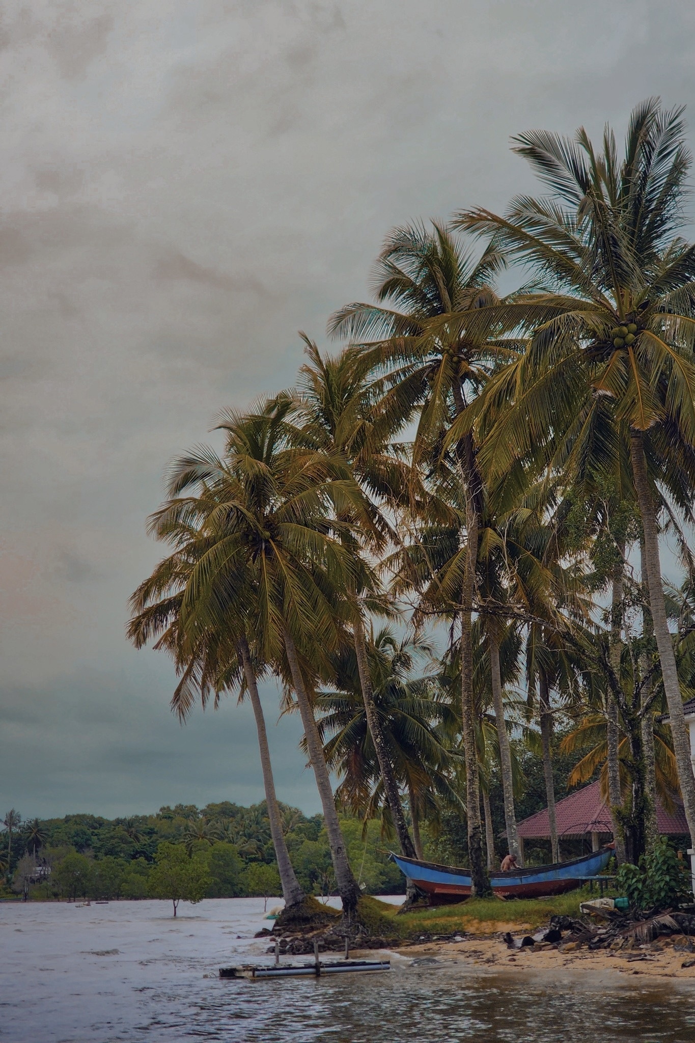 lang chai tran phu anh 3