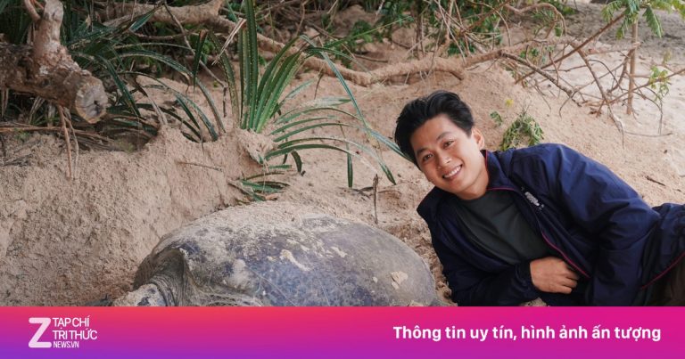 Tôi 12 ngày xem rùa đẻ trứng ở Côn Đảo Tôi 12 ngày xem rùa đẻ trứng ở Côn Đảo