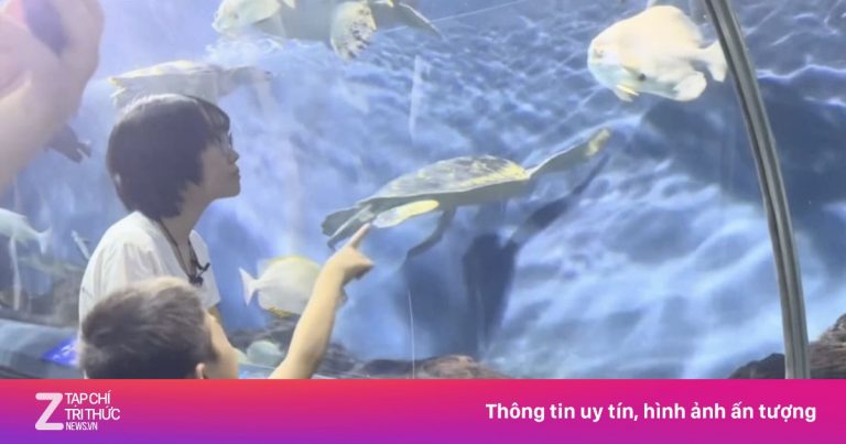 Bức thư gây ‘sốt’ của cậu bé về những con cá biến mất trong thủy cung Bức thư gây ‘sốt’ của cậu bé về những con cá biến mất trong thủy cung