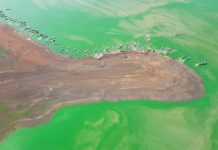 Dải lụa xanh hiện lên ở hồ Trị An khiến du khách say lòng, nhiếp ảnh gia mê mẩn