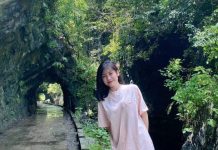 Đường hầm xanh mướt giữa núi rừng Thái Nguyên đẹp như châu Âu gây sốt mạng