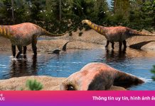 Phát hiện hóa thạch khủng long 95 triệu năm tuổi