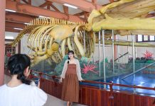 Lăng thờ bí ẩn ở đảo Lý Sơn, có 2 bộ xương cá khổng lồ đã tồn tại hàng thế kỷ