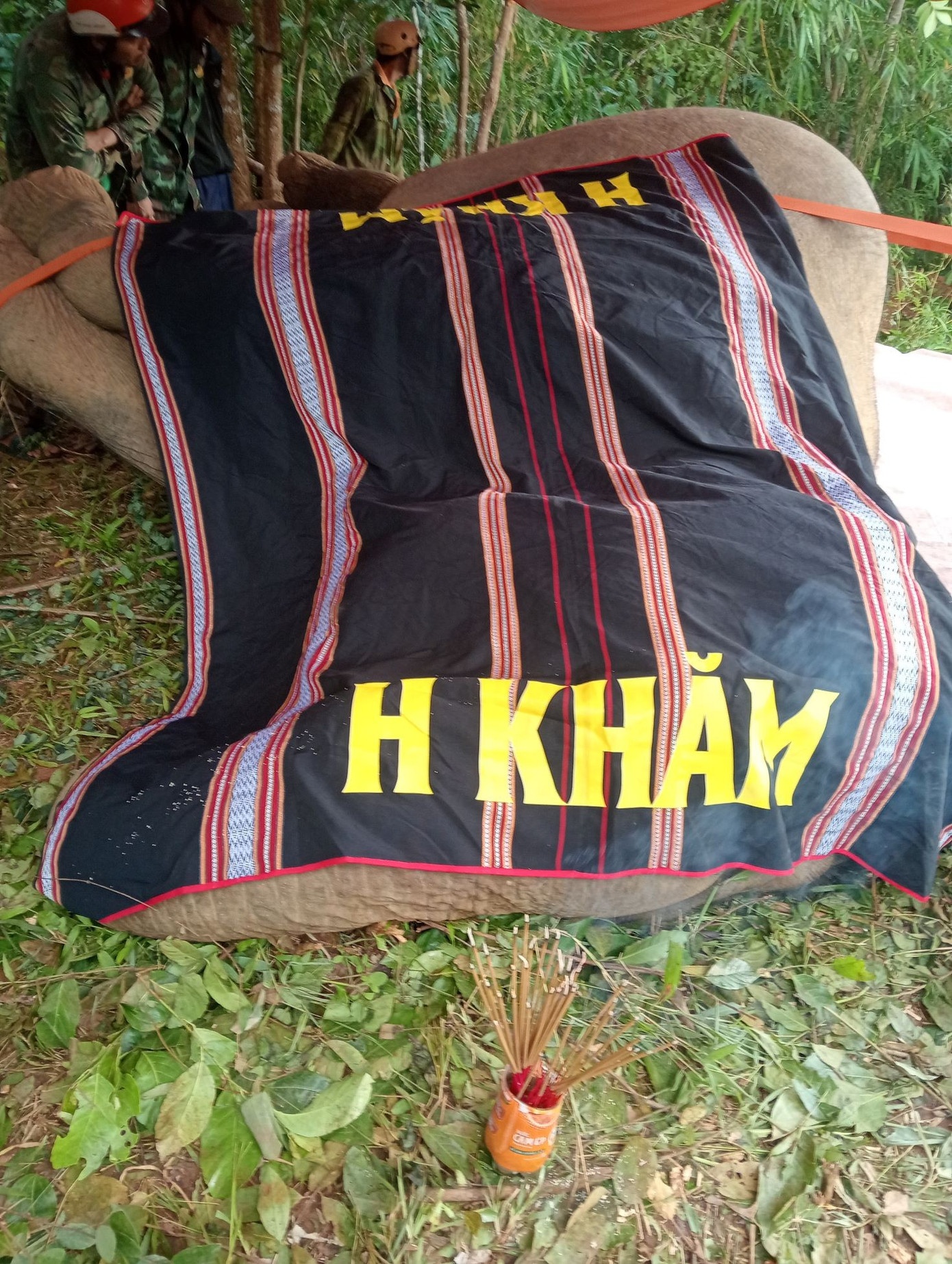 voi anh 1