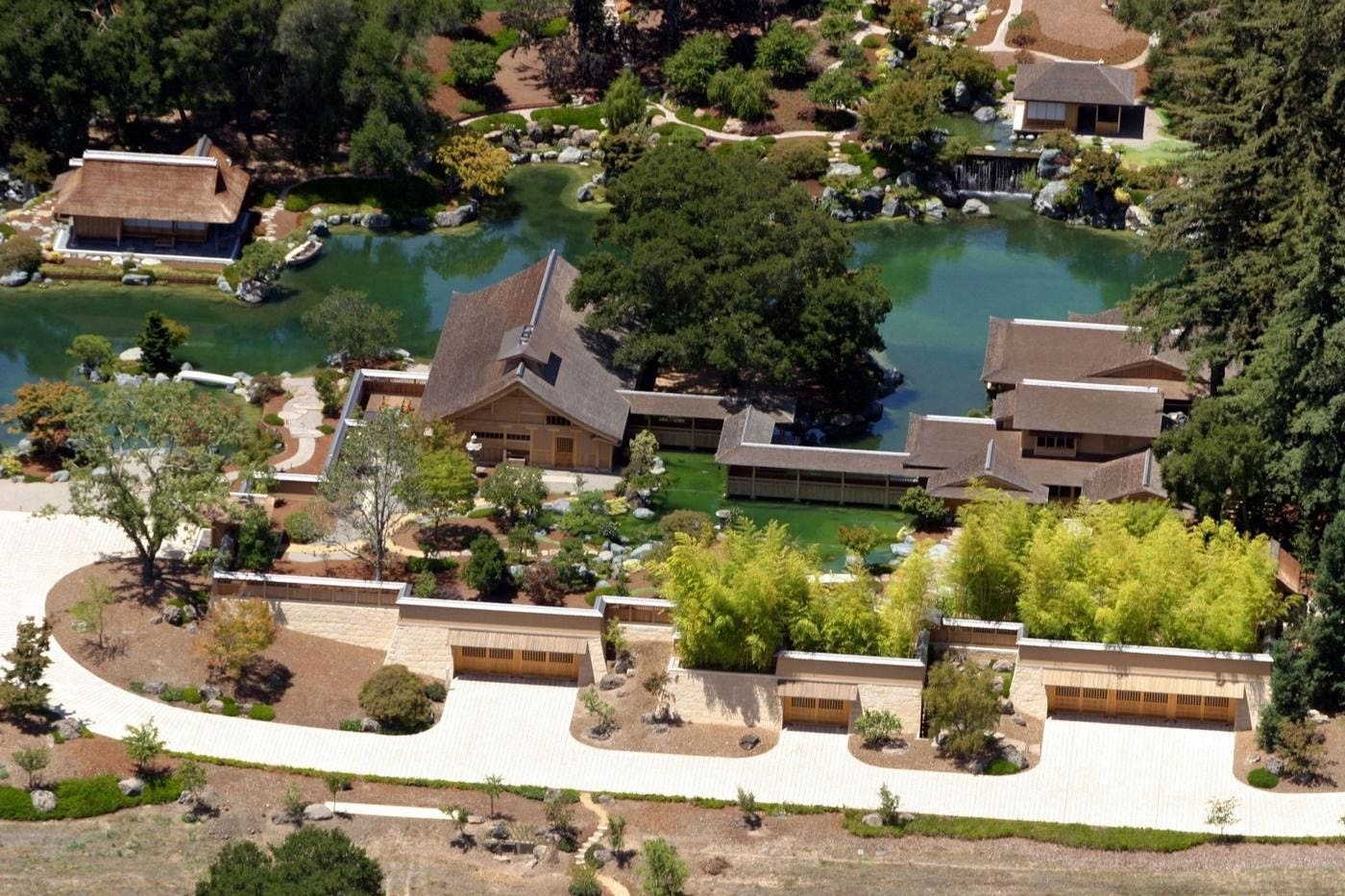 Larry Ellison anh 5