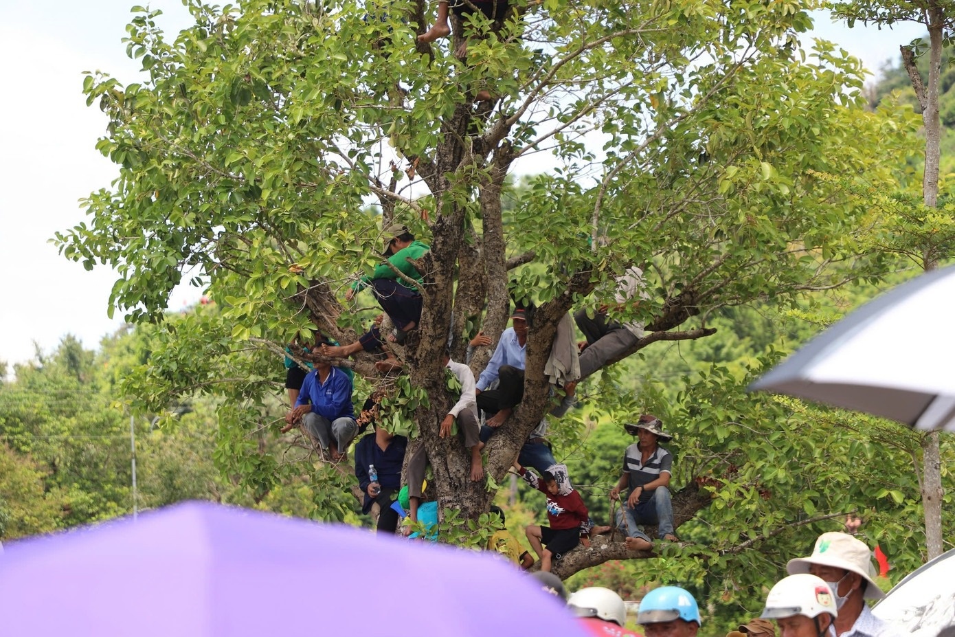 Hoi dua bo Bay Nui anh 13