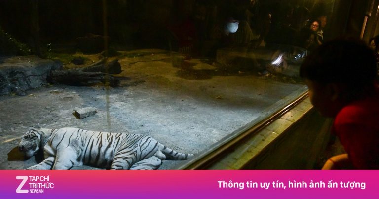 Thảo Cầm Viên mở rộng tour đêm tất cả ngày trong tuần
