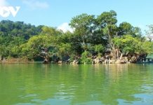 Bảo tồn, phát huy giá trị Khu danh thắng quốc gia hồ Ba Bể để phát triển du lịch