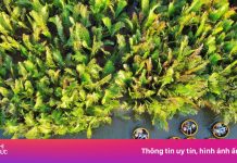 Ngôi làng ở Đà Nẵng lọt top 50 đẹp nhất thế giới