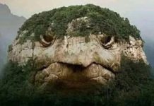 Tiết lộ sự thật về bức ảnh khối núi có hình con rùa khổng lồ gây sốt