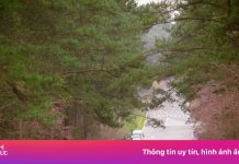 Măng Đen không thiệt hại dù động đất liên tiếp