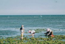 5 làng chài đẹp như phim ở Khánh Hòa, khách tha hồ check-in, mua hải sản giá rẻ