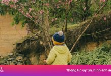 Lũng Cú bác tin ‘dịch vụ ở Lô Lô Chải đắt gấp 3 lần’