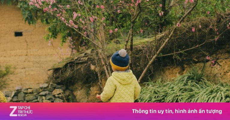 Lũng Cú bác tin ‘dịch vụ ở Lô Lô Chải đắt gấp 3 lần’ Lũng Cú bác tin ‘dịch vụ ở Lô Lô Chải đắt gấp 3 lần’