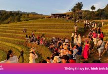 ‘Lạm phát nàng thơ’ tại Mù Cang Chải