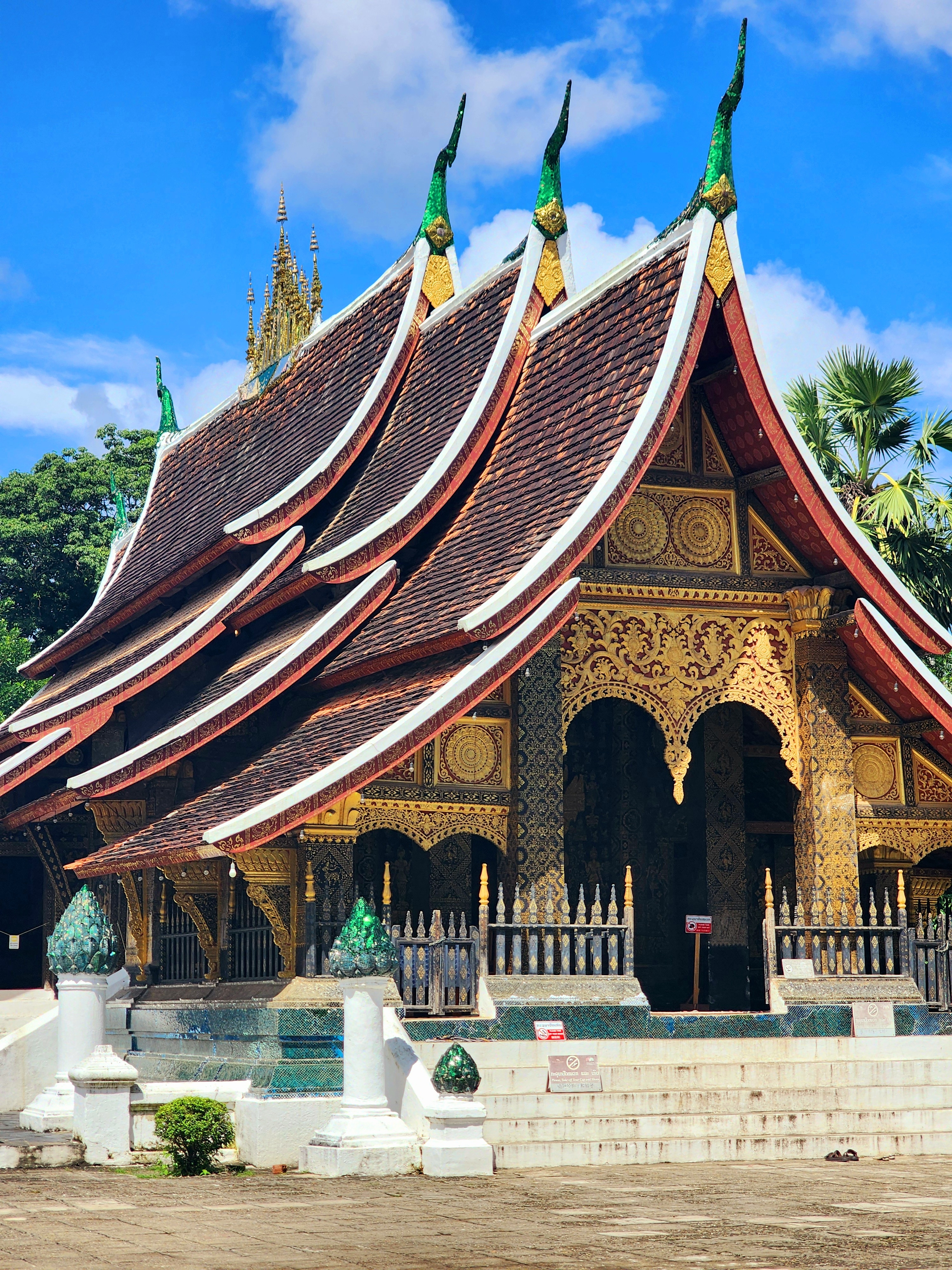 Lao anh 16