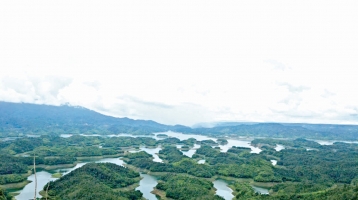 Khám phá “hoang đảo” Tà Đùng – Lâm Đồng Khám phá “hoang đảo” Tà Đùng – Lâm Đồng