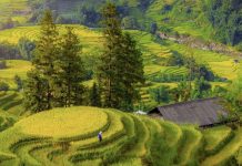 Top 3 địa điểm du lịch ở miền Bắc thu hút du khách dịp nghỉ lễ 2/9