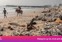 Bali ‘trả giá’