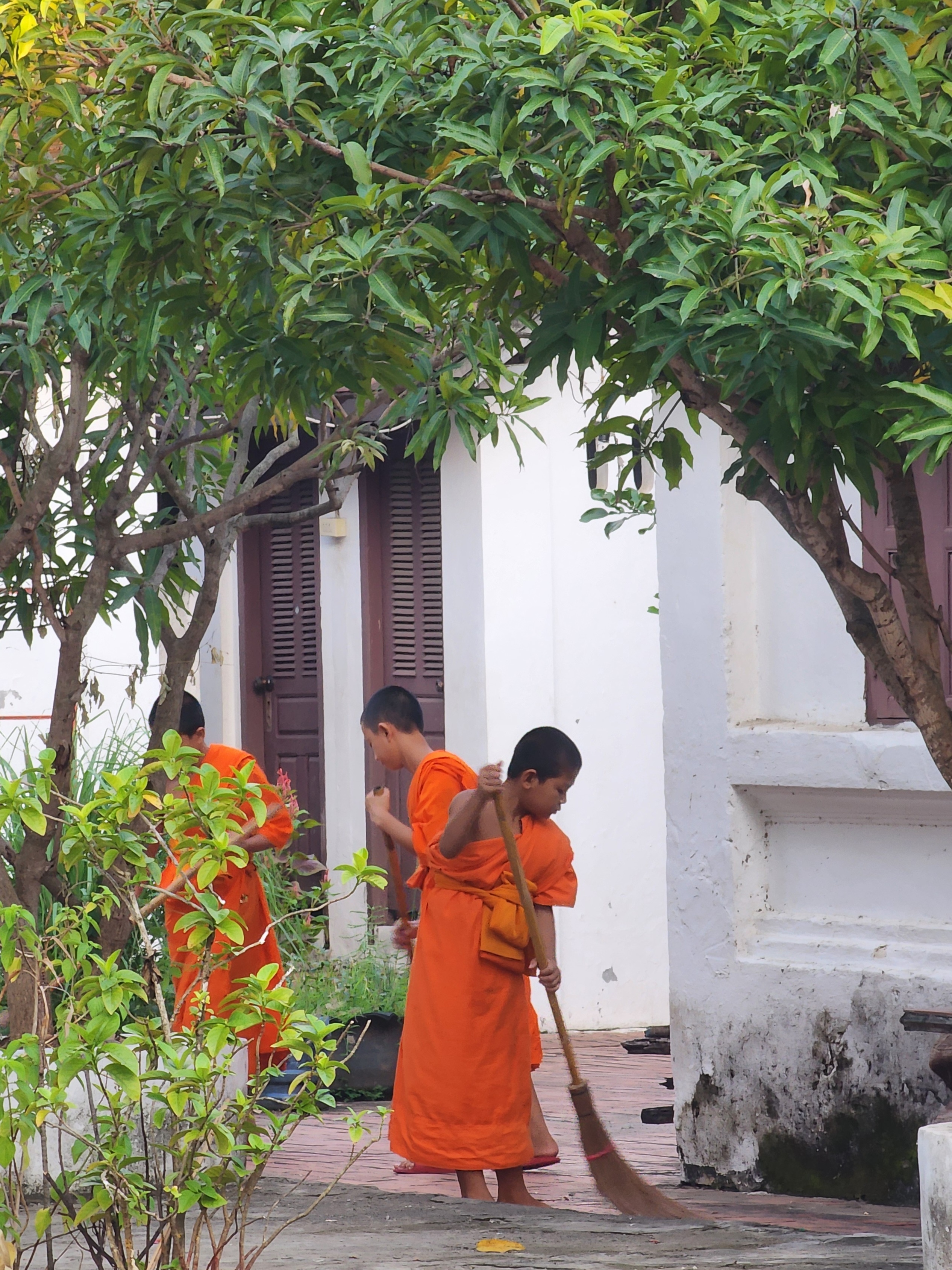 Lao anh 2