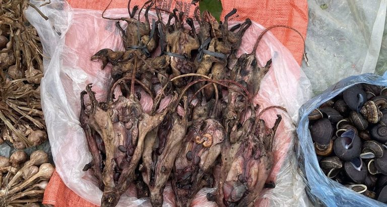 Chợ ‘trên mây’ ở Phú Thọ nhiều món lạ, khách bất ngờ nhất đặc sản rừng 4 chân