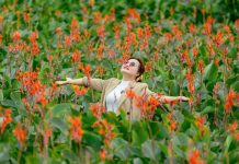 Hoa dong riềng nở rộ trên núi lửa triệu năm, hút khách đến Gia Lai check-in