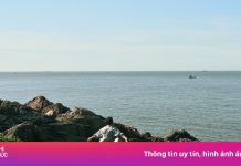 Được phép tham quan bán đảo Sơn Trà trở lại từ hôm nay