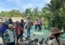 Để Trà Sư luôn là điểm đến hấp dẫn du khách