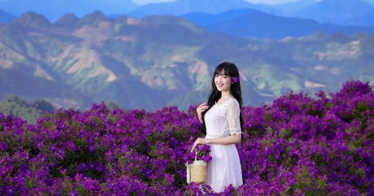 Du lịch Mộc Châu, khách mê mẩn chụp ảnh, săn mây ở đồi sim