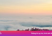 ‘Săn’ sim tím giữa biển mây đẹp siêu thực ở Sơn La