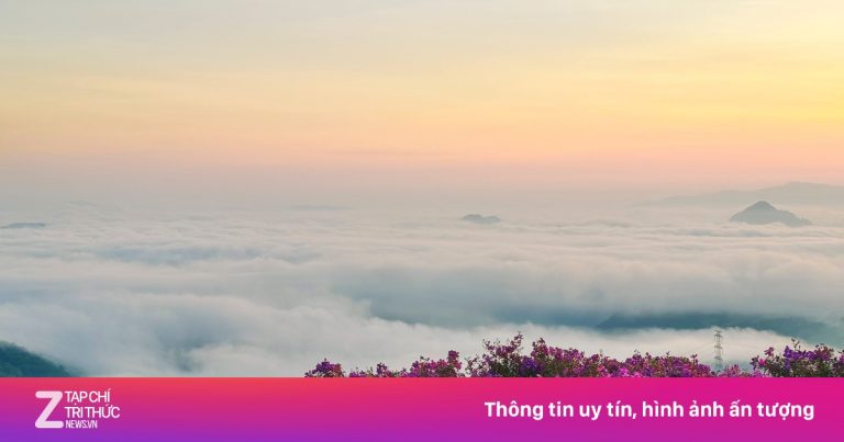 ‘Săn’ sim tím giữa biển mây đẹp siêu thực ở Sơn La