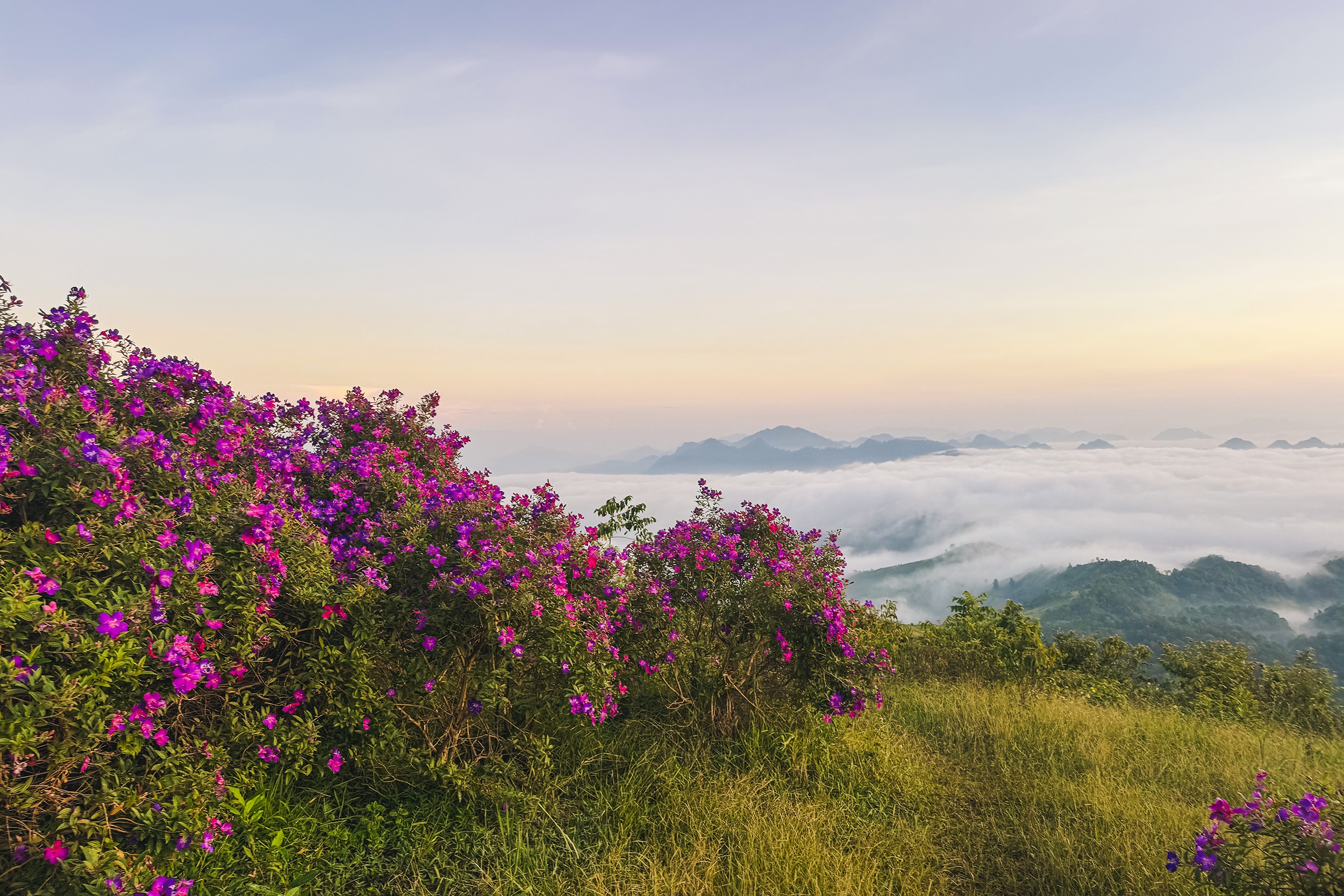 Doi sim Suoi Bon anh 10