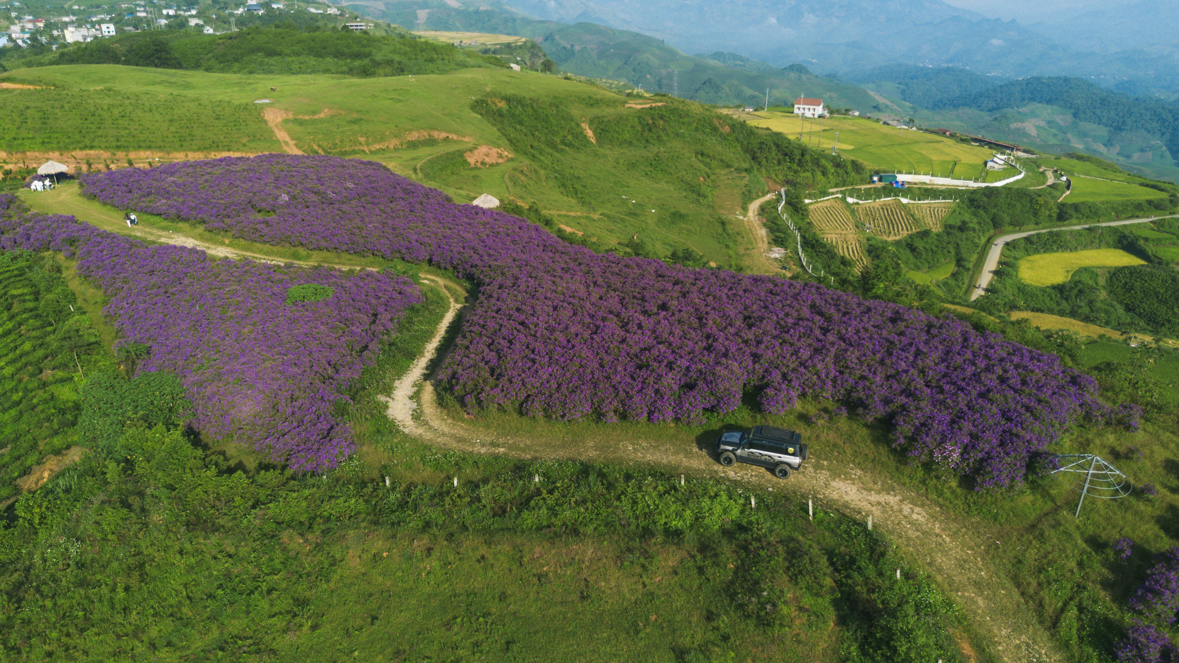 Doi sim Suoi Bon anh 3