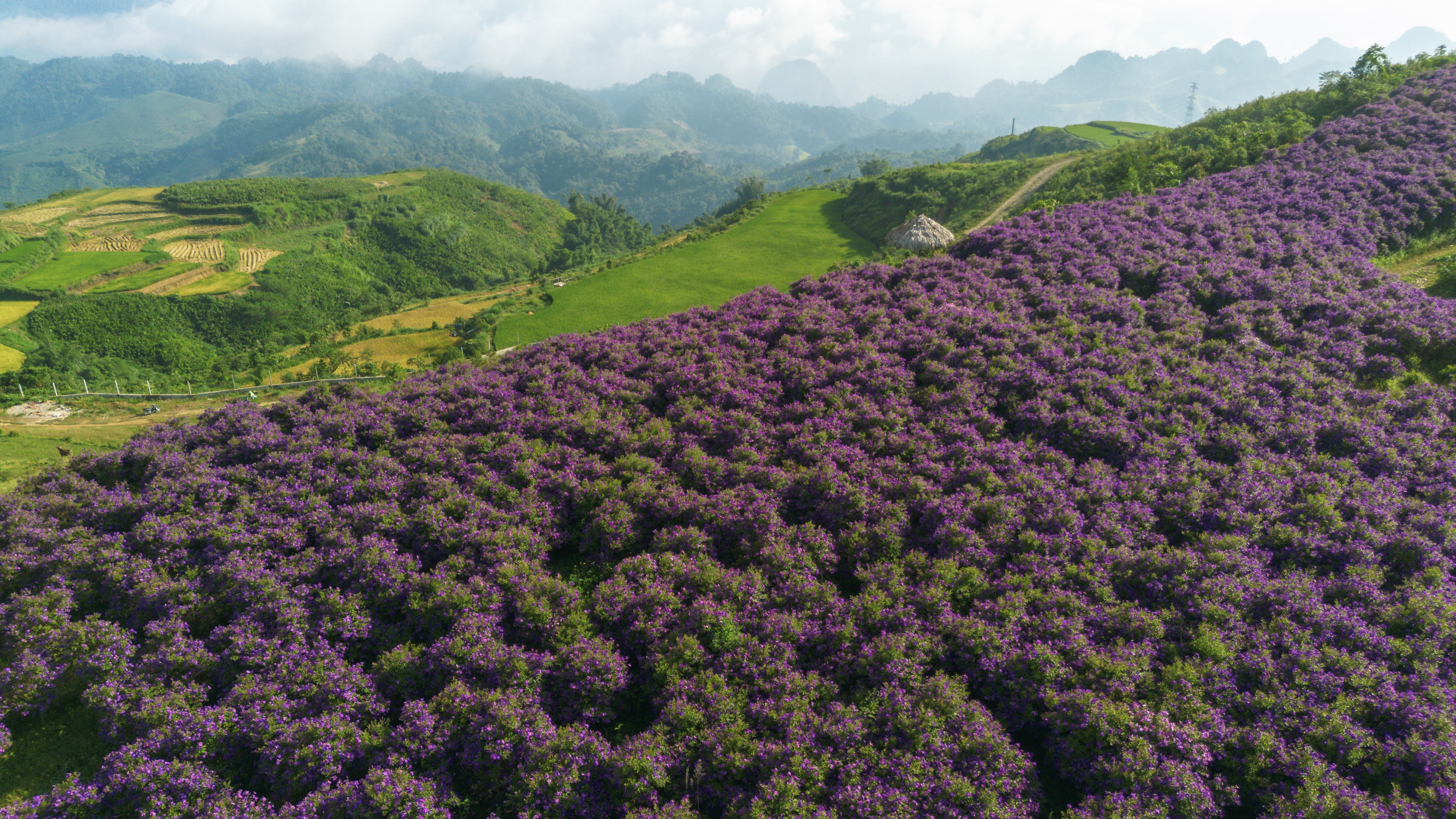 Doi sim Suoi Bon anh 2