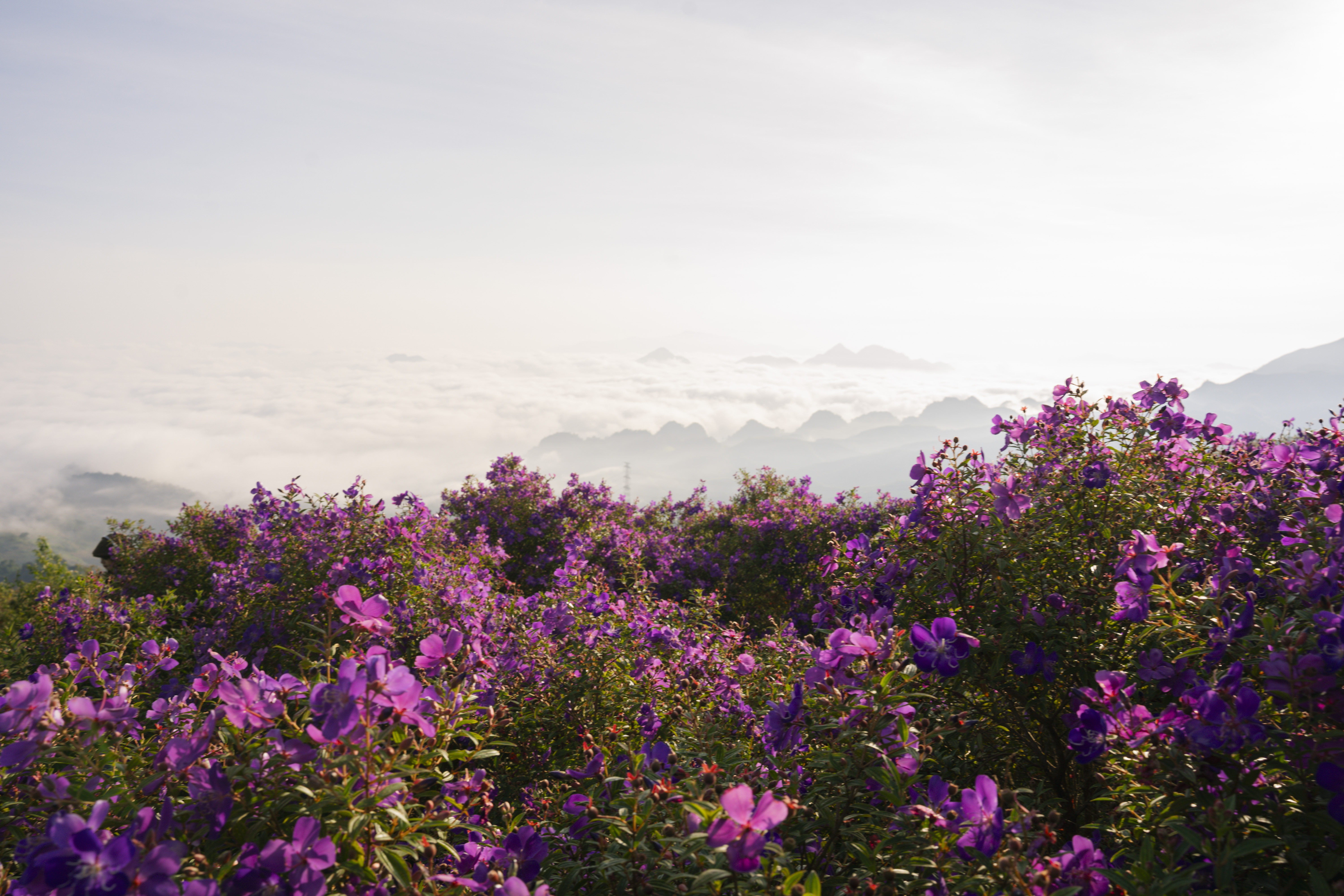 Doi sim Suoi Bon anh 9
