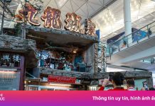 Khách quá cảnh ở sân bay Hong Kong được dẫn đi du lịch miễn phí