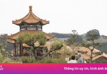 Vì sao giới thượng lưu Trung Quốc ngày càng ‘vung tiền’ ở Nhật Bản?