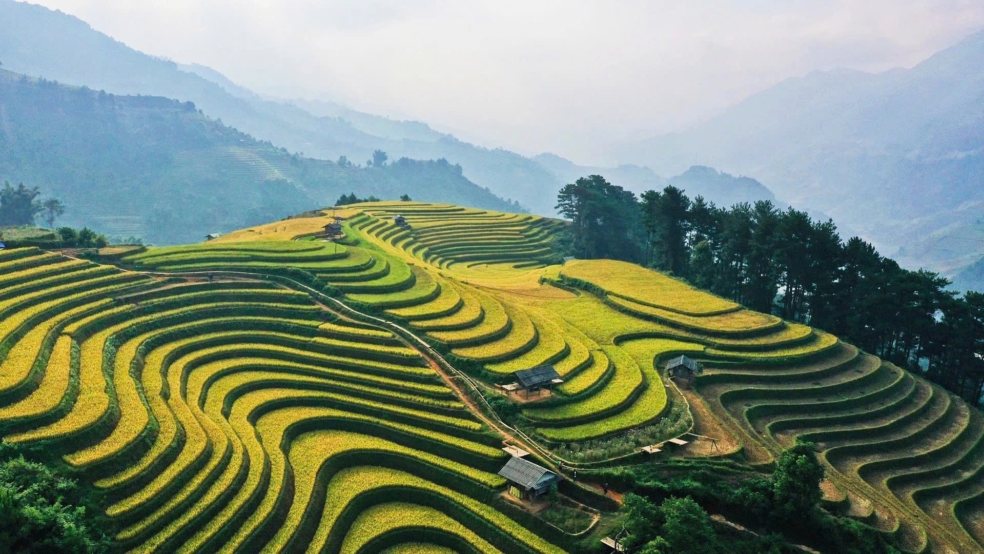 Lần đầu đến Mù Cang Chải, khách miền Tây bất ngờ với món ăn từ... côn trùng - 5