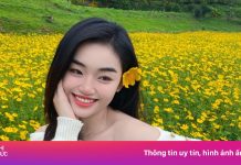 Miss Grand Vietnam 2025 ‘cuồng’ du lịch Phú Yên, Đà Lạt